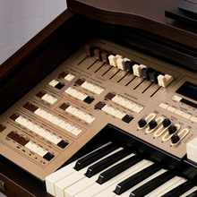 Carregar imagem no visualizador da galeria, Órgão Tokai MD-10 EVO