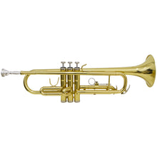 Carregar imagem no visualizador da galeria, Trompete Tp 200 Laqueado Dourado Com Case New York