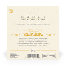 Carregar imagem no visualizador da galeria, Encordoamento Viola Brasileira D Addario Nickel-Plated EJ82A