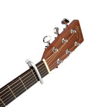 Carregar imagem no visualizador da galeria, Capotraste De Metal Prata D Addario Pro PW-CP-02S