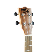 Carregar imagem no visualizador da galeria, Ukulele Moani KAMUA Concerto 23'' Sapele UK05-NS-23