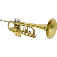 Carregar imagem no visualizador da galeria, Trompete Tp 200 Laqueado Dourado Com Case New York
