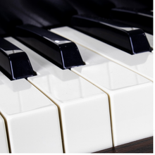 Carregar imagem no visualizador da galeria, Órgão Tokai MD-10 EVO
