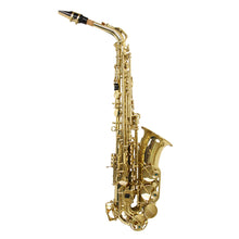Carregar imagem no visualizador da galeria, Saxofone Alto As 200 Laqueado Dourado Com Case New York
