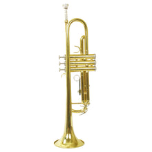 Carregar imagem no visualizador da galeria, Trompete Tp 200 Laqueado Dourado Com Case New York
