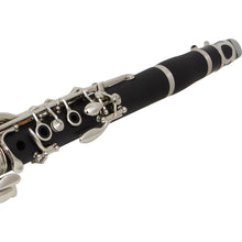 Carregar imagem no visualizador da galeria, Clarinete Soprano Bb 17 Chaves Cl 200 Com Case New York
