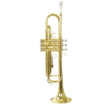 Carregar imagem no visualizador da galeria, Trompete Tp 200 Laqueado Dourado Com Case New York
