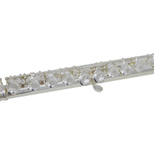 Carregar imagem no visualizador da galeria, Flauta Transversal Fl 200es Prateada Com Case New York
